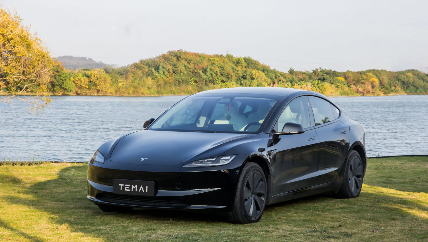 2024 Tesla Model 3 in Black Colour