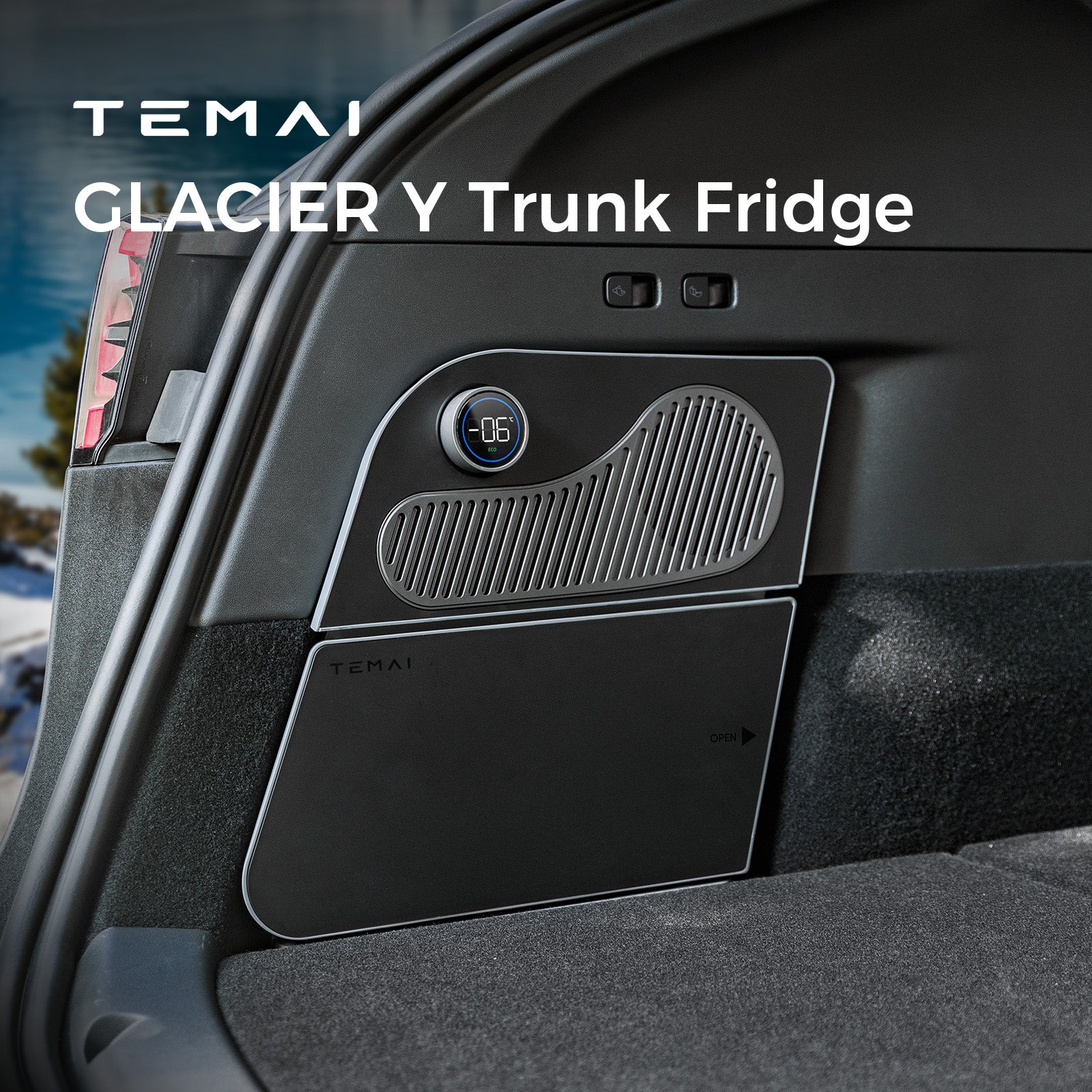 Model Y (2020-2024) – TEMAI